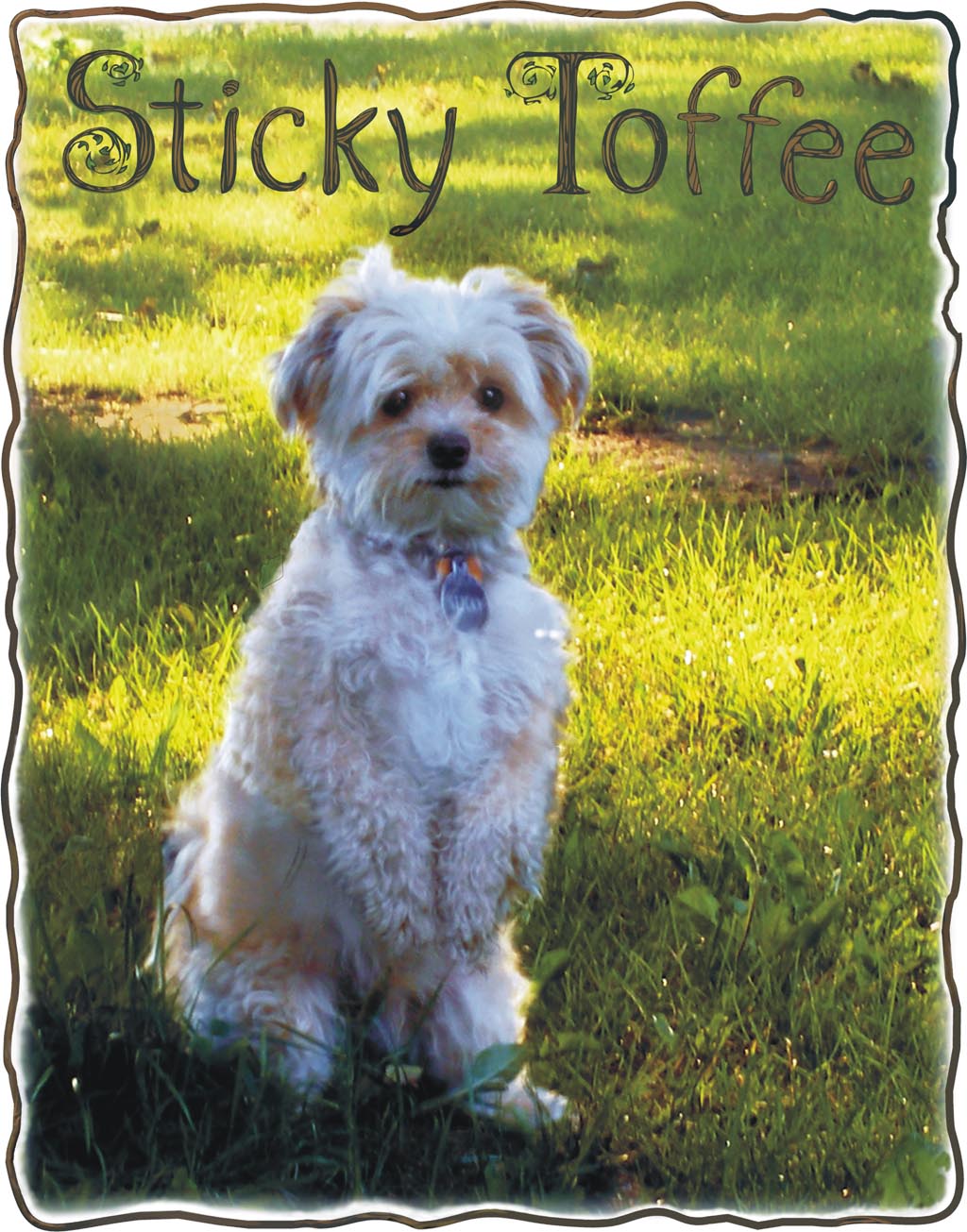 Sticky