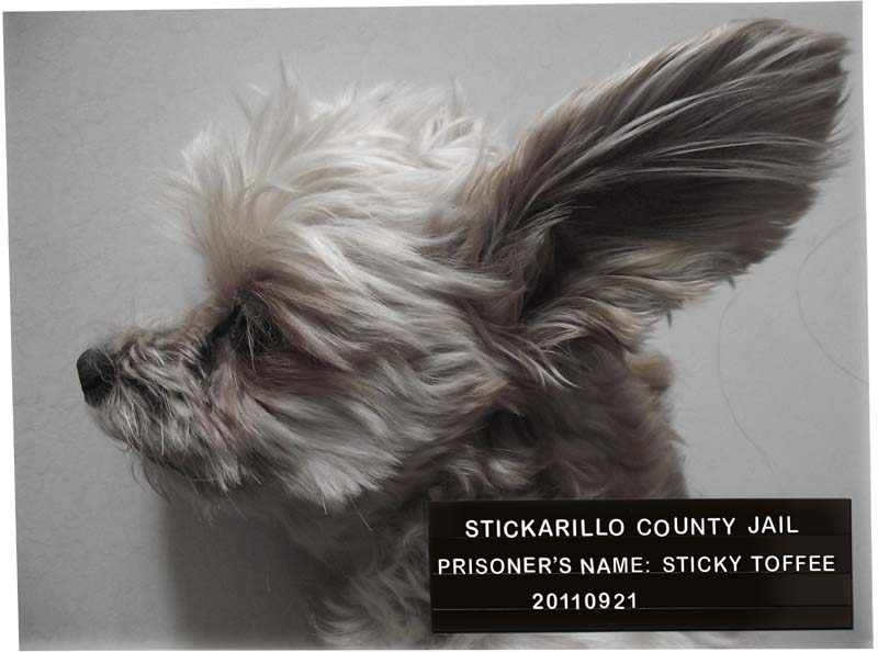 Sticky