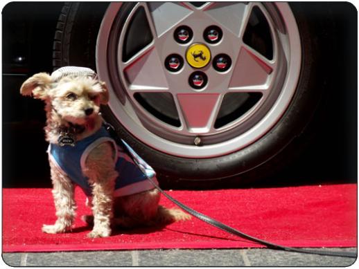 Sticky at the car show
